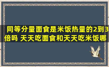 同等分量面食是米饭热量的2到3倍吗 天天吃面食和天天吃米饭哪个好